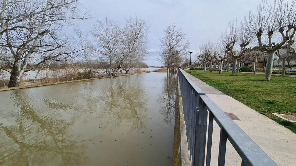 Tudela. Crecida R&iacute;o Ebro 15-2-26 a las 15 h (22)