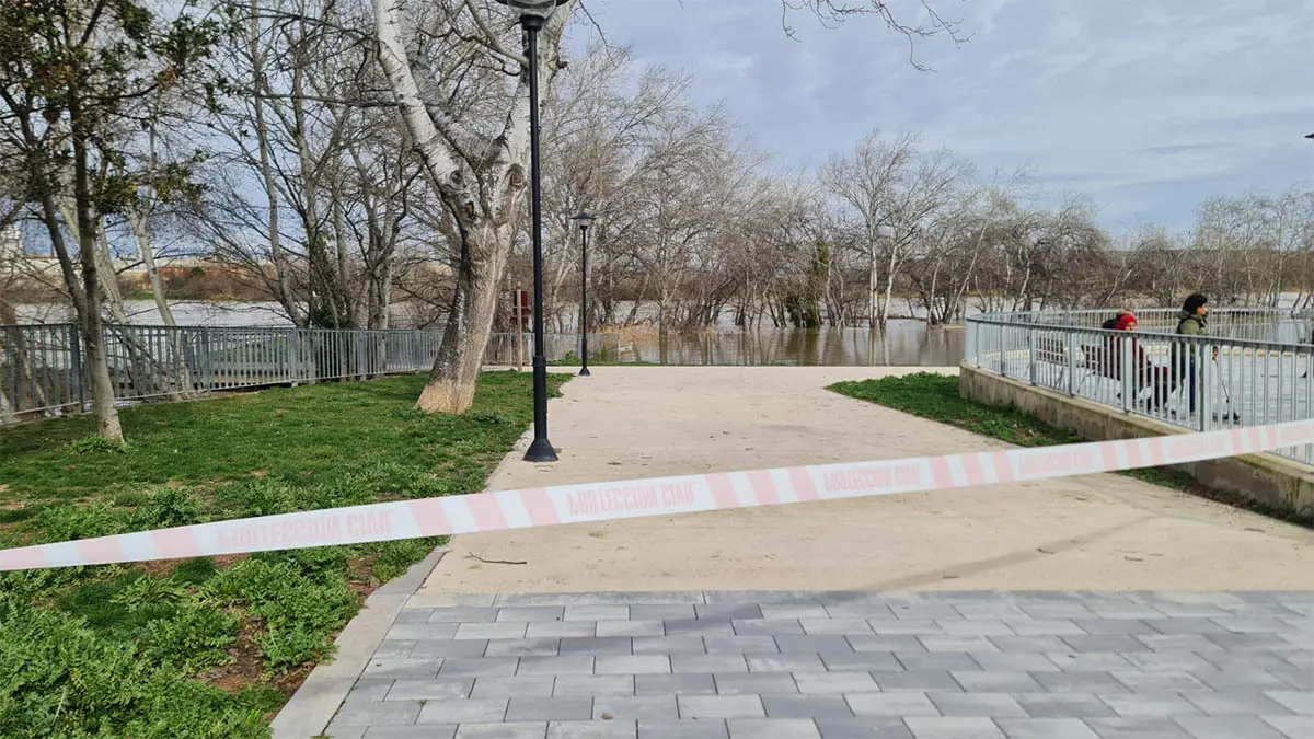 Tudela. Crecida R&iacute;o Ebro 15-2-26 a las 15 h (23)