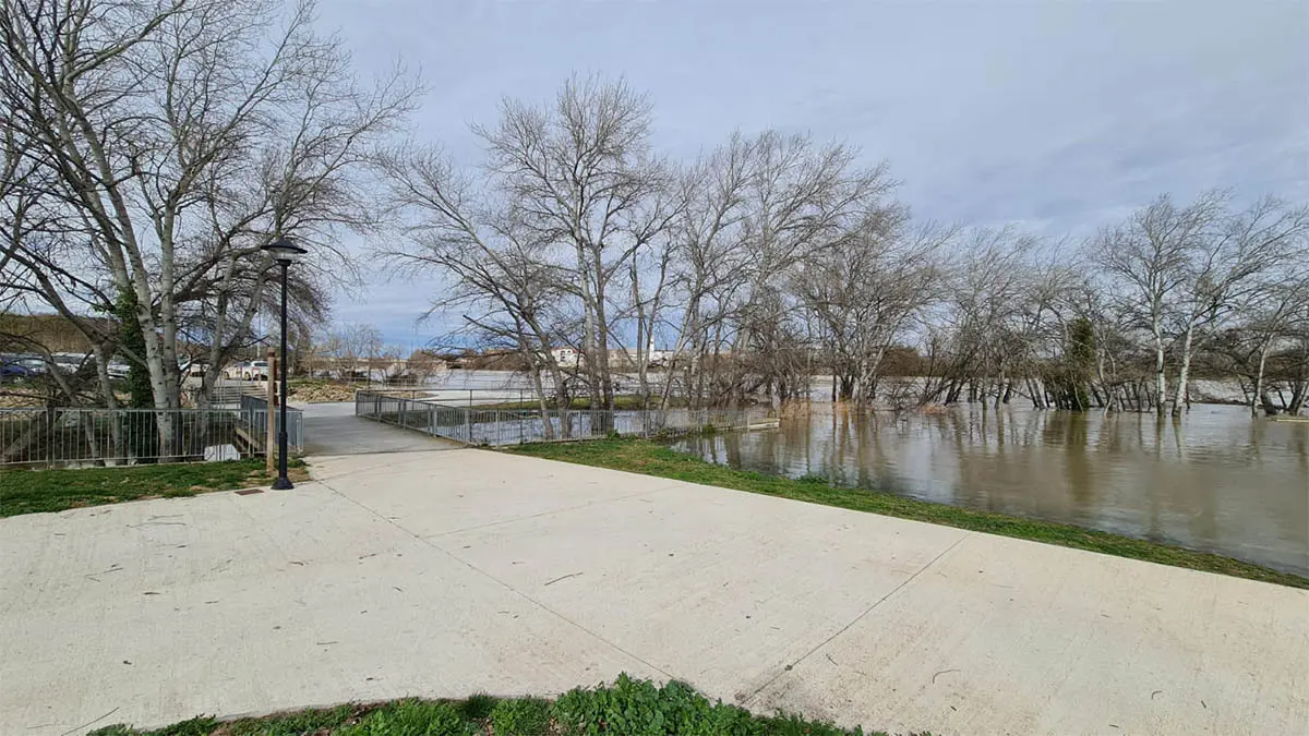 Tudela. Crecida R&iacute;o Ebro 15-2-26 a las 15 h (26)