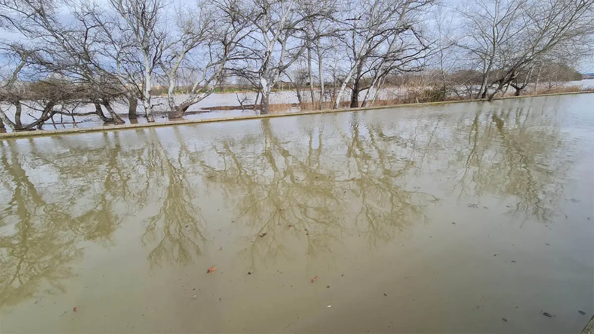 Tudela. Crecida R&iacute;o Ebro 15-2-26 a las 15 h (32)