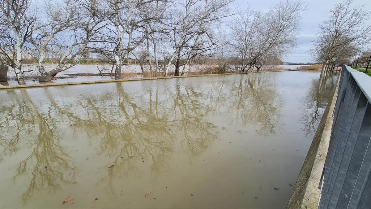 Tudela. Crecida R&iacute;o Ebro 15-2-26 a las 15 h (33)