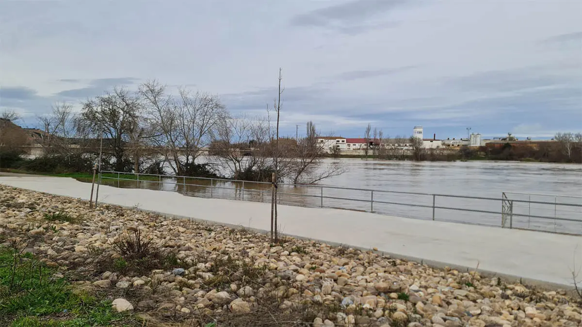 Tudela. Crecida R&iacute;o Ebro 15-2-26 a las 15 h (34)