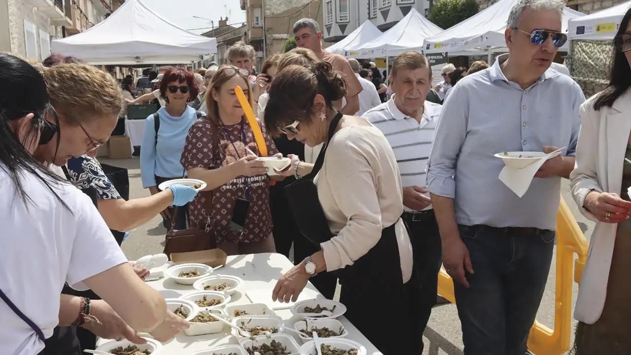 D&iacute;a de la Alcachofa y el Esp&aacute;rrago de Cabanillas 2026 (3)