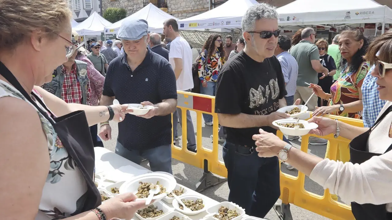 D&iacute;a de la Alcachofa y el Esp&aacute;rrago de Cabanillas 2026 (4)