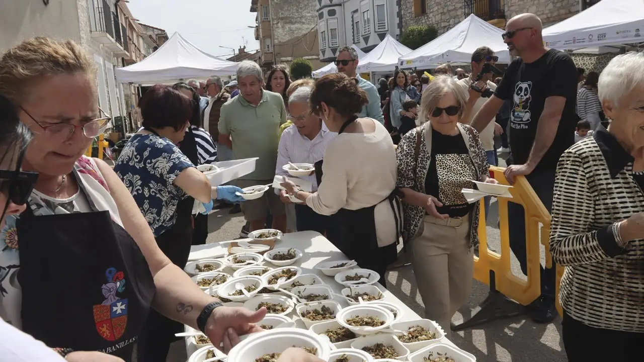D&iacute;a de la Alcachofa y el Esp&aacute;rrago de Cabanillas 2026 (5)
