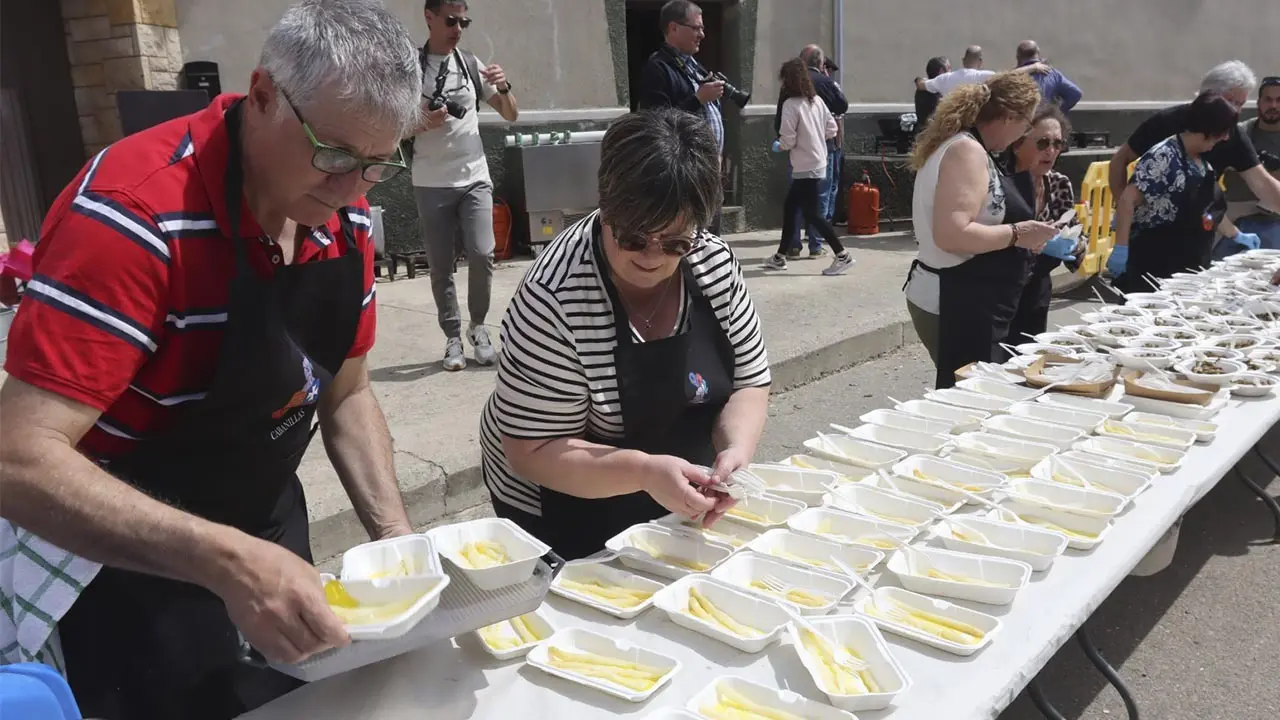 D&iacute;a de la Alcachofa y el Esp&aacute;rrago de Cabanillas 2026 (6)