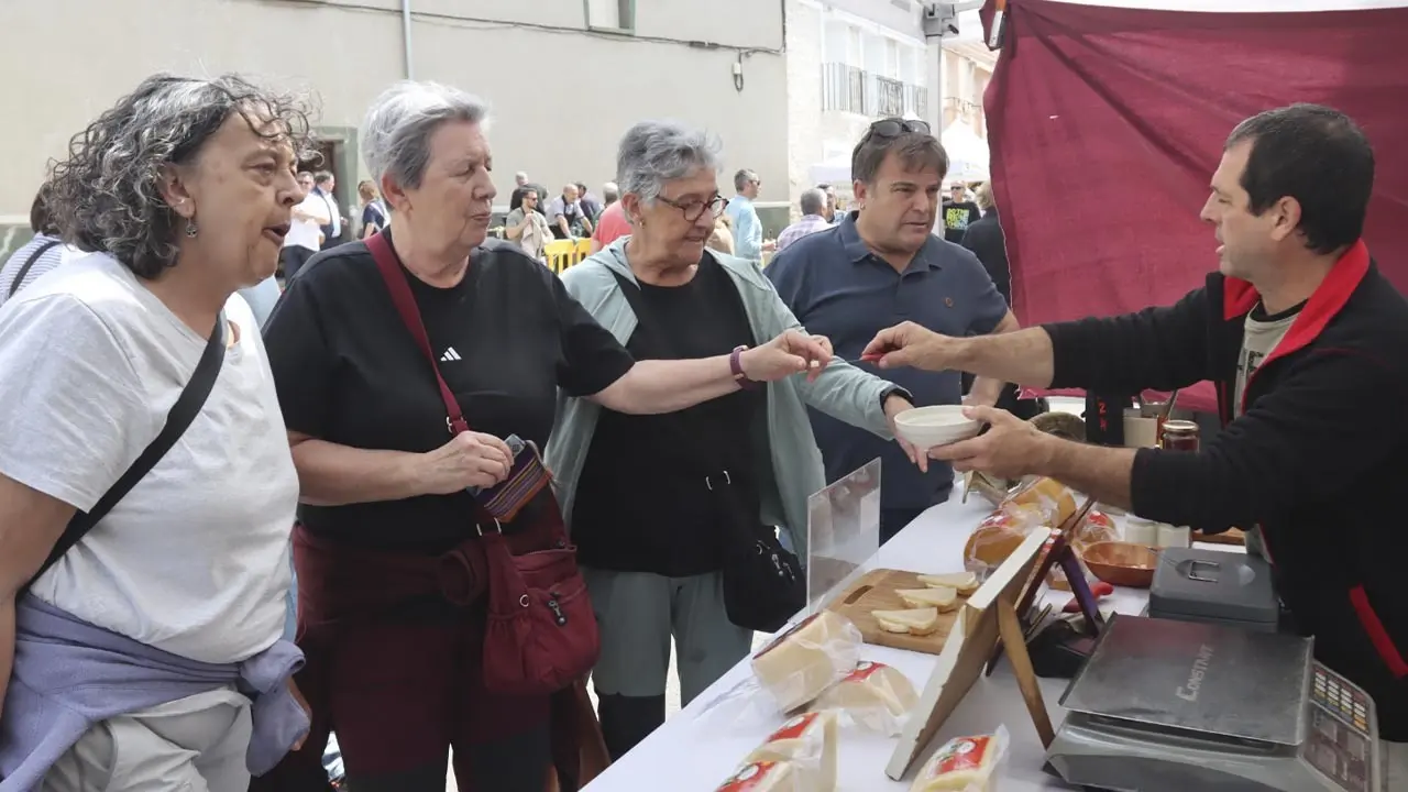 D&iacute;a de la Alcachofa y el Esp&aacute;rrago de Cabanillas 2026 (12)