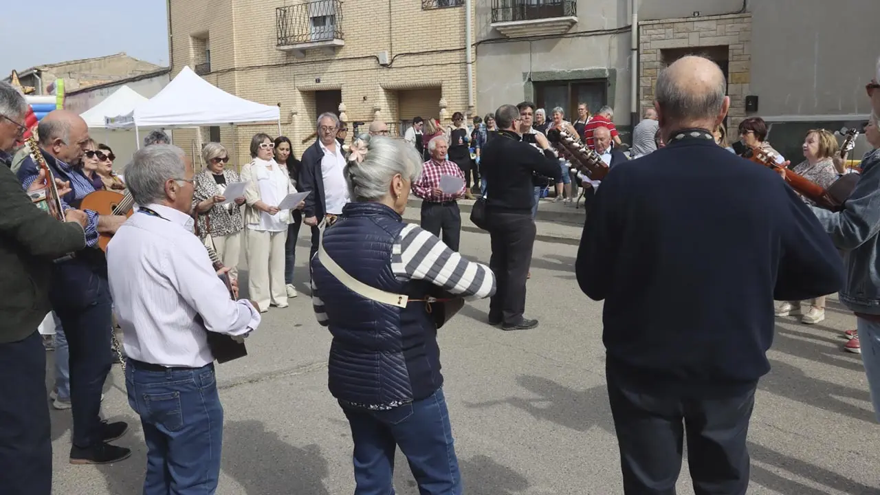 D&iacute;a de la Alcachofa y el Esp&aacute;rrago de Cabanillas 2026 (15)