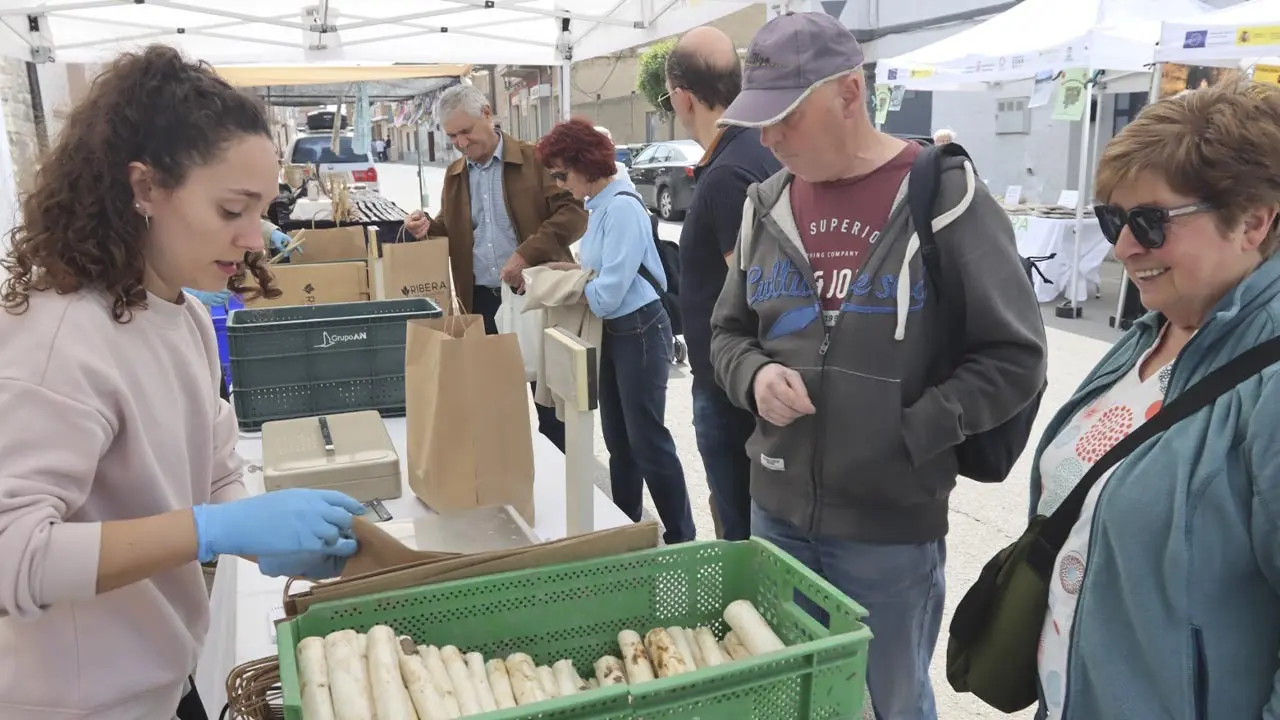 D&iacute;a de la Alcachofa y el Esp&aacute;rrago de Cabanillas 2026 (19)