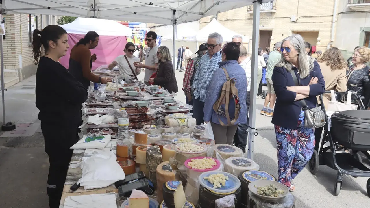 D&iacute;a de la Alcachofa y el Esp&aacute;rrago de Cabanillas 2026 (22)