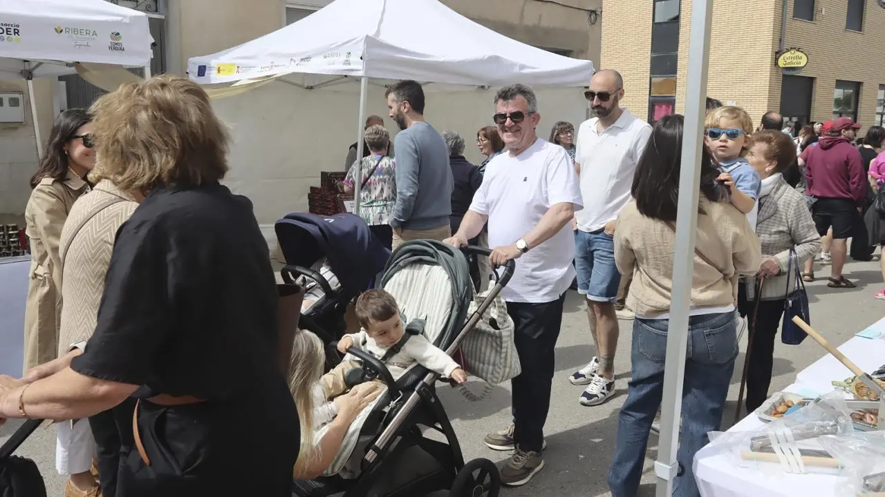 D&iacute;a de la Alcachofa y el Esp&aacute;rrago de Cabanillas 2026 (23)