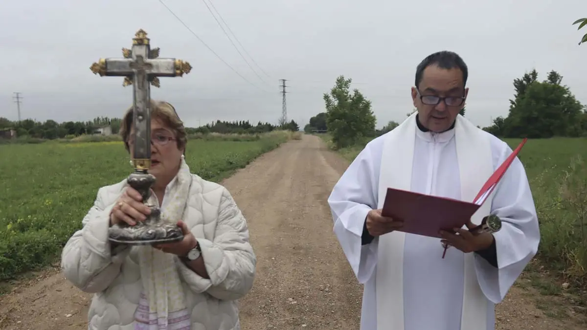 Fiestas Verduras y Cristo de la Buena Muerte en Cortes 2026 (39)