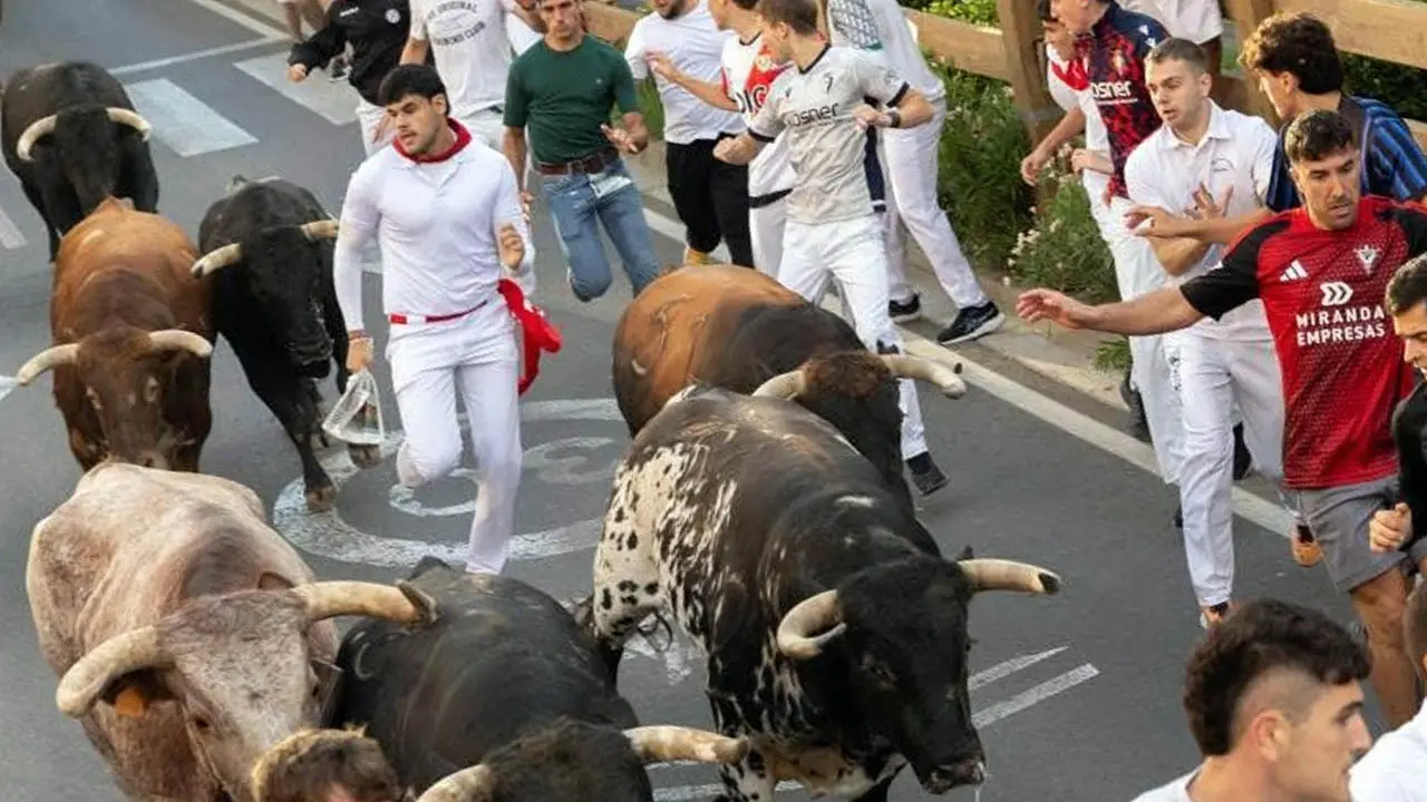 Tercer encierro de las fiestas de Tudela 2026. Foto Facebook Toros en Navarra