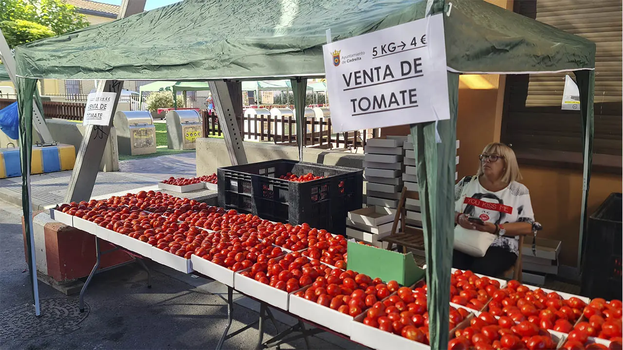 Stands D&iacute;a del Tomate de Cadreita 2026 (2)