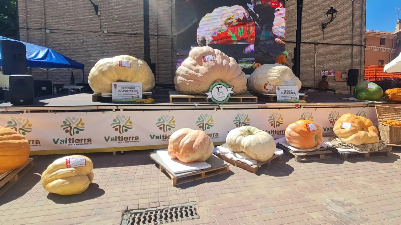D&iacute;a de las calabazas gigantes de Valtierra. Foto Tudelahoy