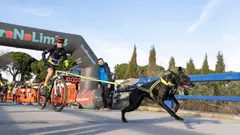 Primera CaniCross de Corella 2026