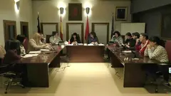 Pleno de Villafranca 29 enero 2026