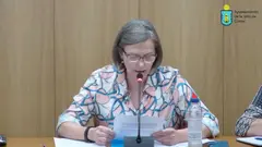 Pleno de Cortes del 27 de febrero 2026