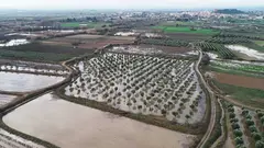 R&iacute;o Queiles, a su paso por los t&eacute;rminos municipales de Tulebras, Cascante y Murchante