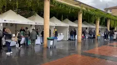 Feria de la Verdura y la Gastronom&iacute;a de la Ribera Navarra 2025. Foto. Jes&uacute;s Marquina