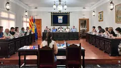 Pleno del Ayuntamiento de Tarazona