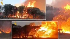 Incendio de 5 ha en Bardenas. Guardia Civil de Navarra