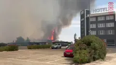 Incendio agr&iacute;cola en la A-68 a su paso por Tudela