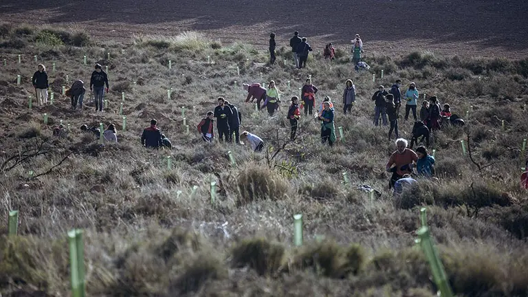 proyecto entorno sonoro