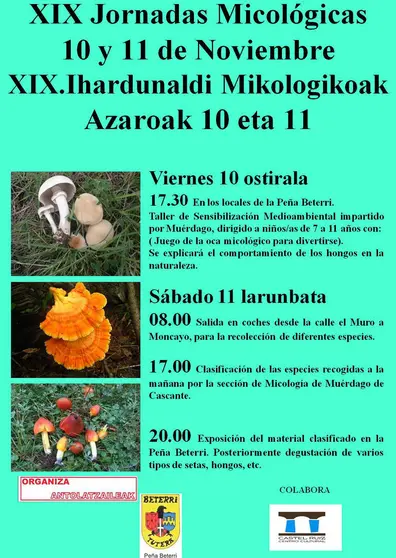 Jornadas Micológicas Beterri