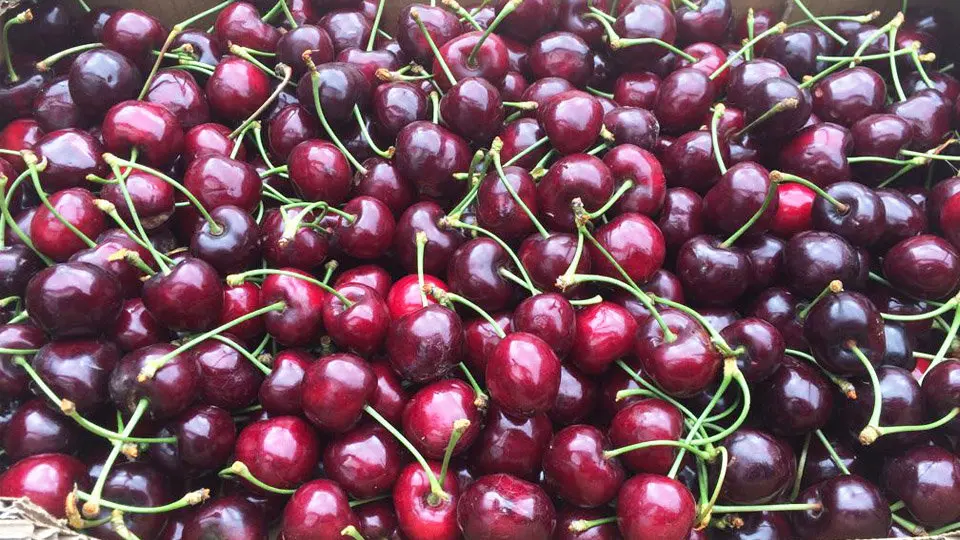 Cerezas de Milagro