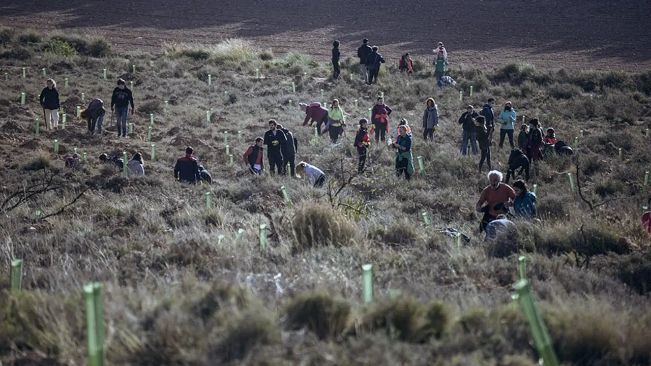 proyecto entorno sonoro