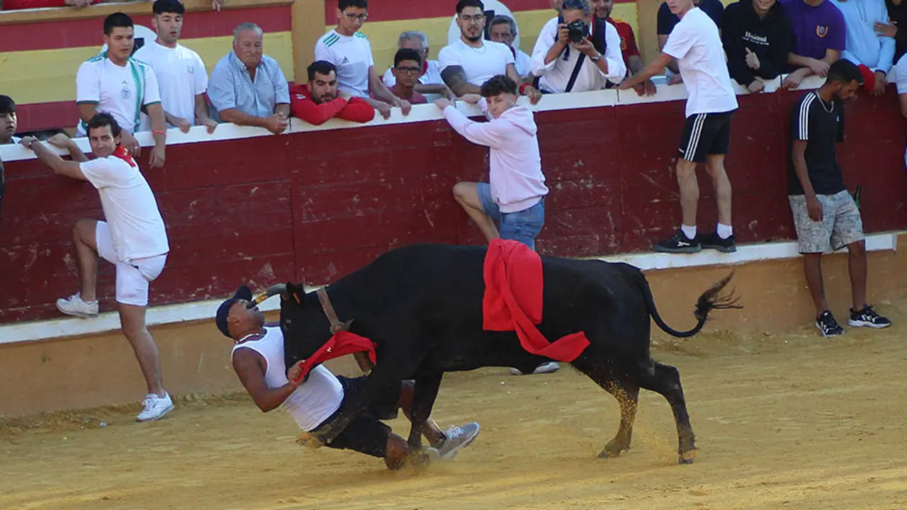 vaquillas 30julio9