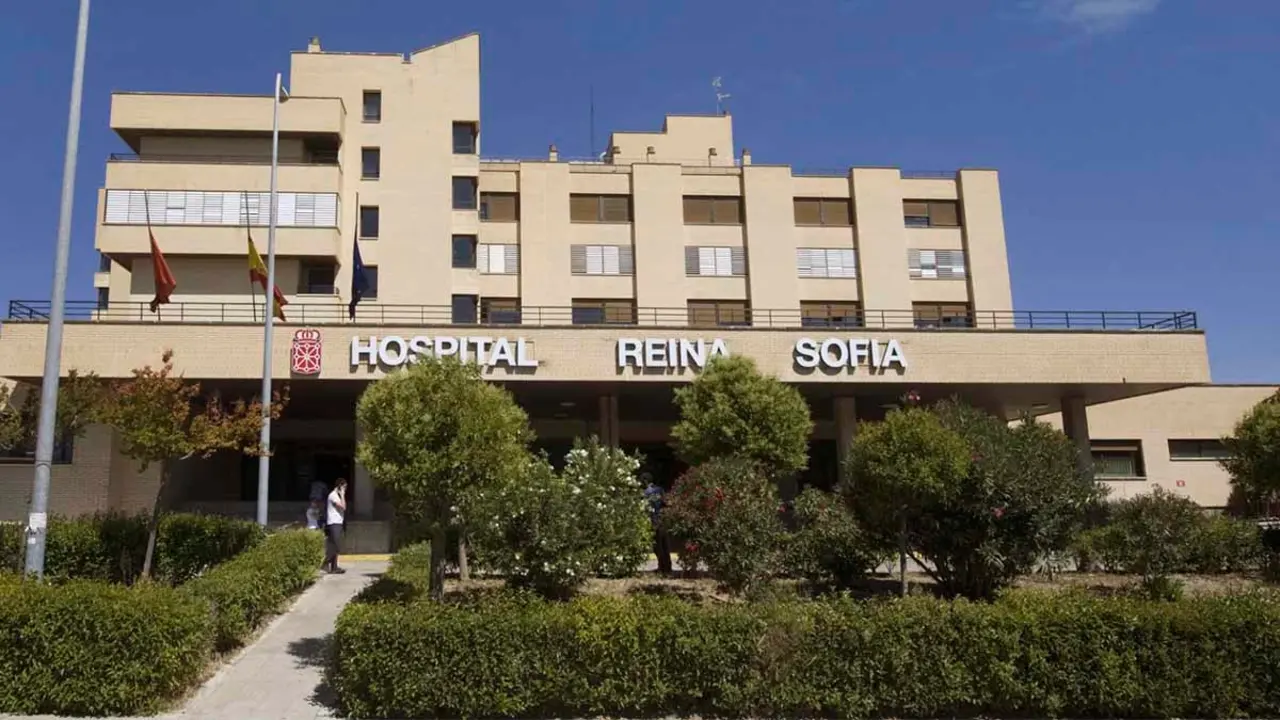 Hospital Reina Sof&iacute;a de Tudela2