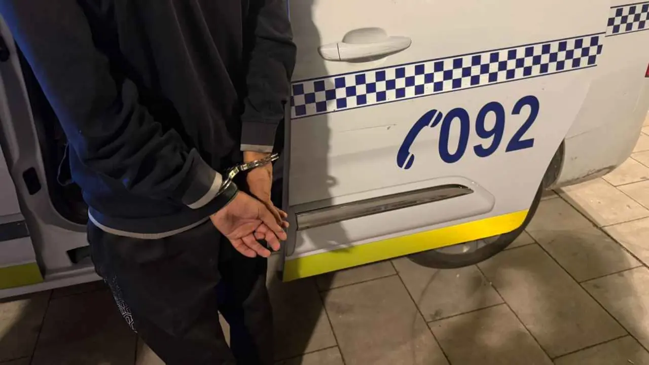 Detenido por Polic&iacute;a Local de Tudela