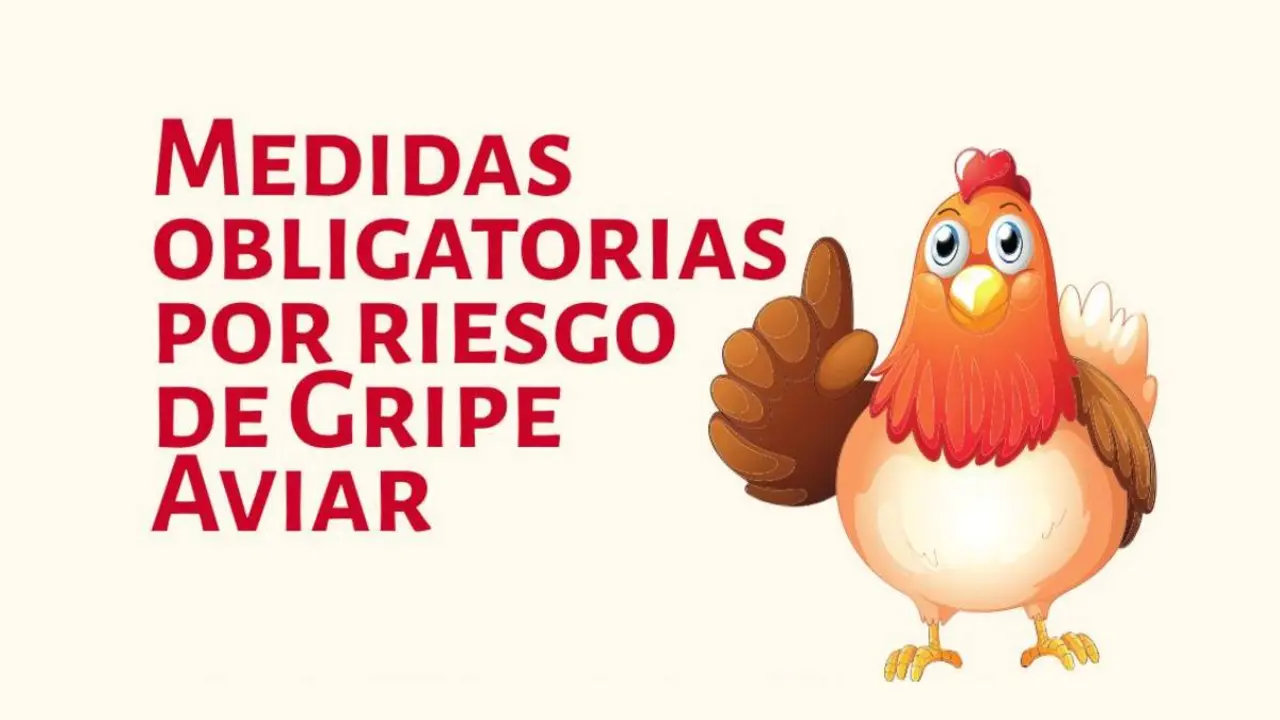 Prevención por riesgo de gripe aviar