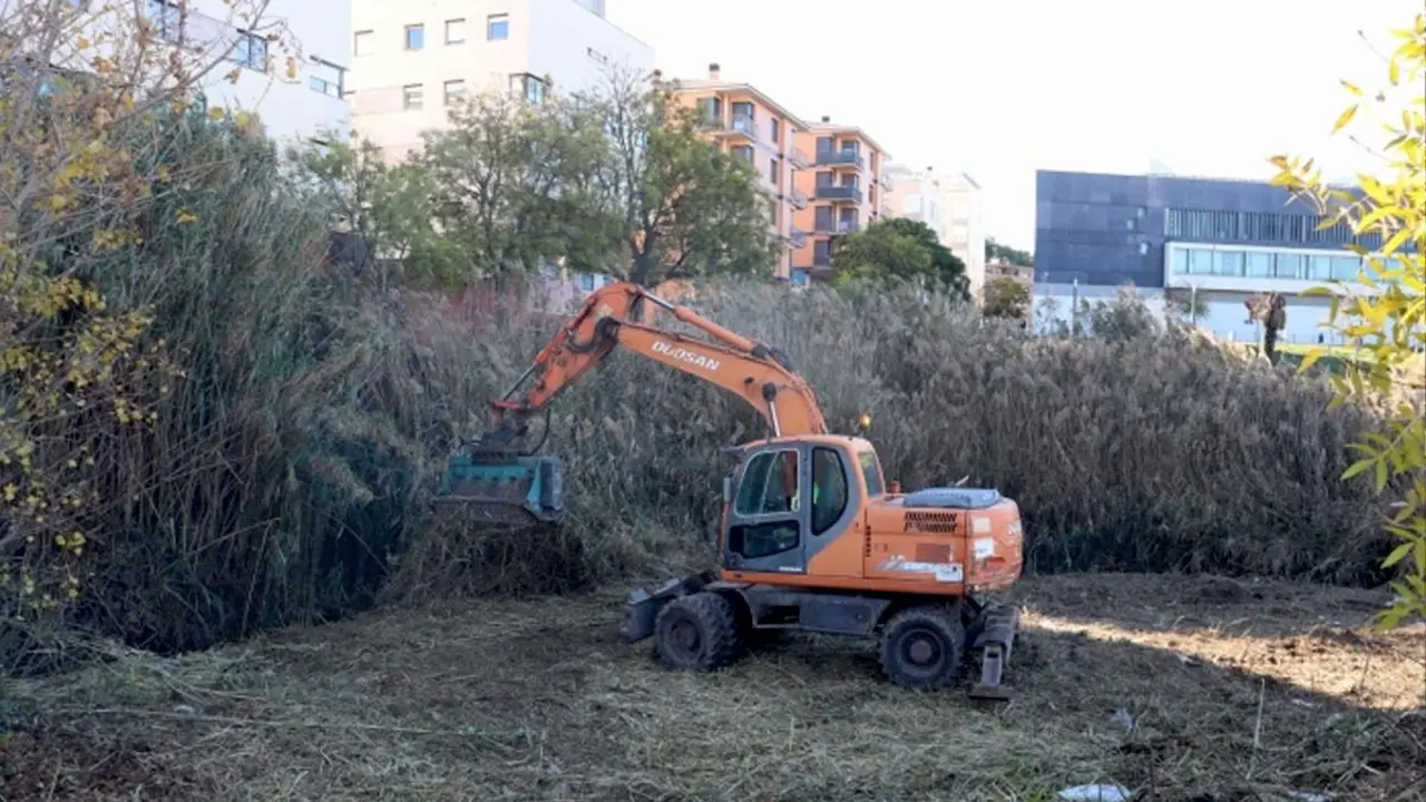 Labores de desbroce y limpieza de los márgenes del río Queiles en Tudela