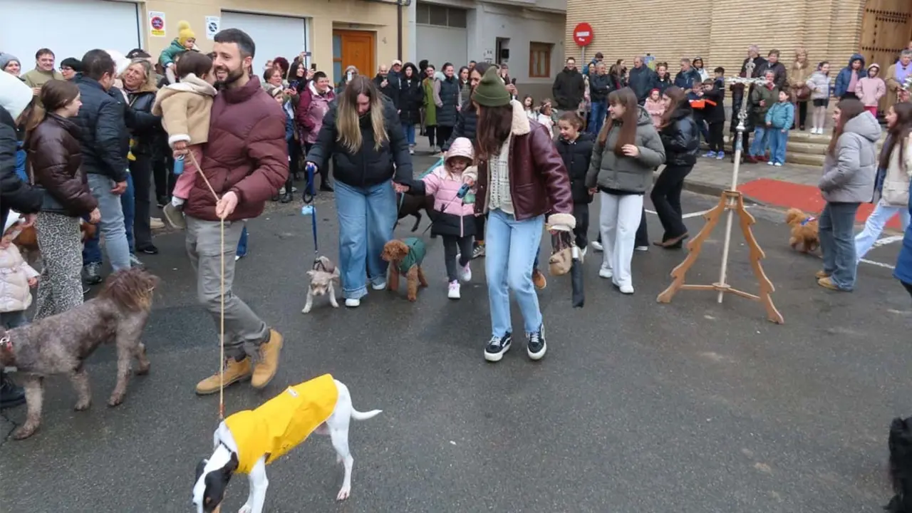 San Ant&oacute;n en Murchante 2026 (5)