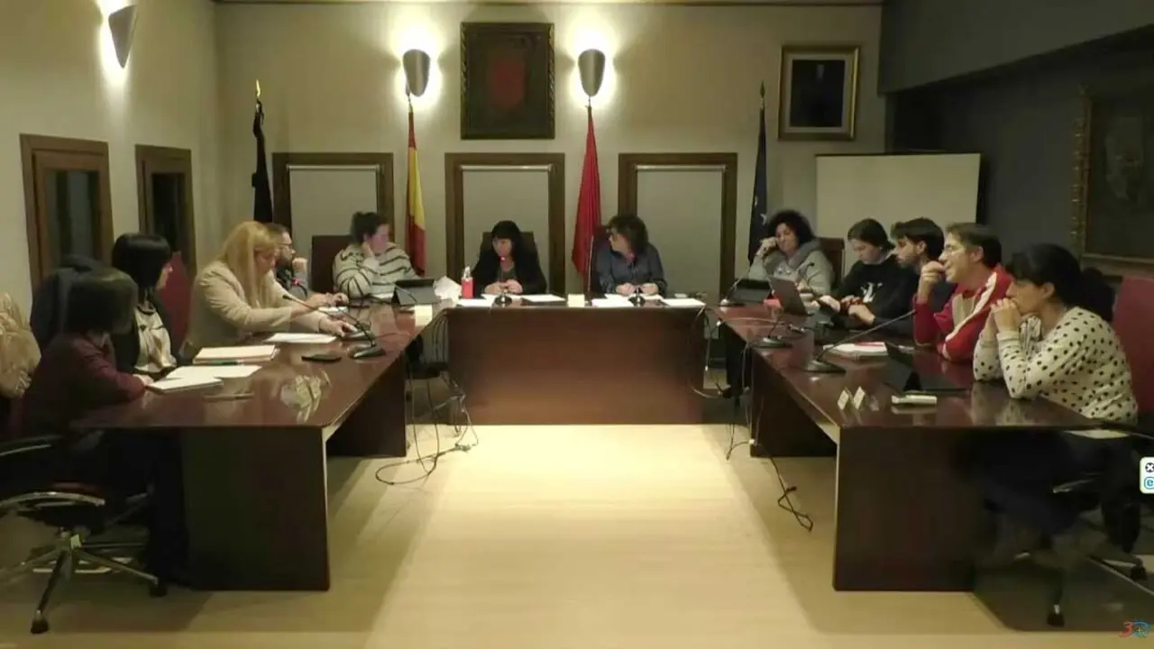 Pleno de Villafranca 29 enero 2026