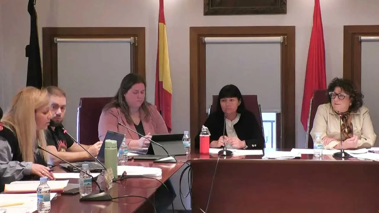 Pleno de Villafranca del 26 de febrero 2026