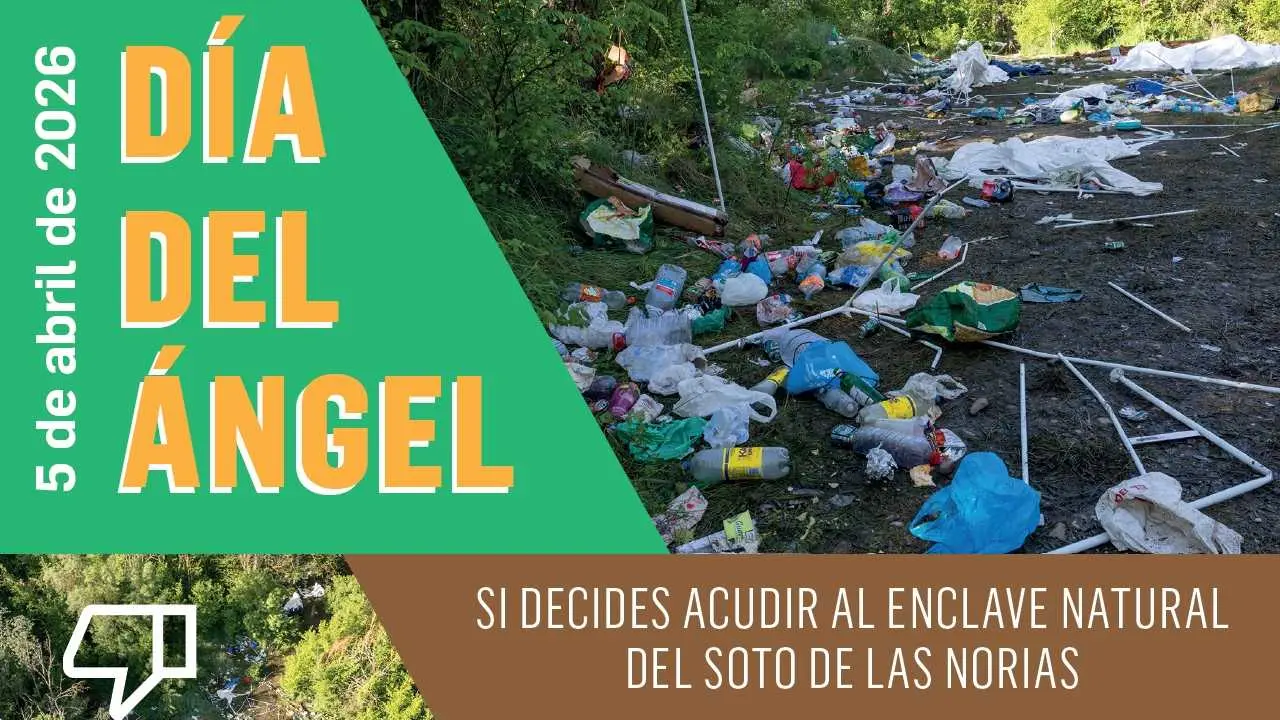 Cambio de normativa en el uso de las Norias en Tudela