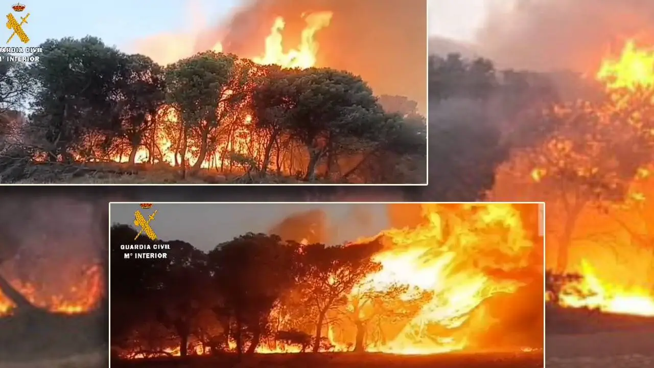 Incendio de 5 ha en Bardenas. Guardia Civil de Navarra