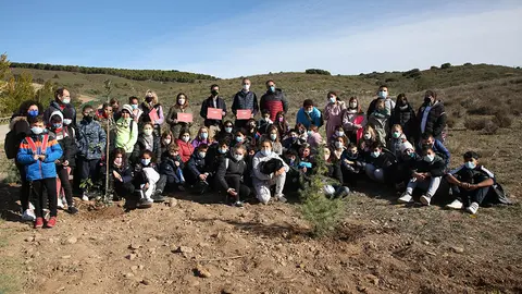 sendaviva huella carbono