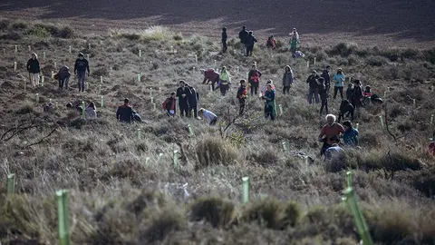 proyecto entorno sonoro