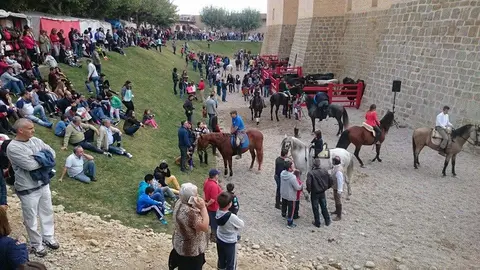 Marcilla Feria del Caballo Foto Facebook Yo soy de Marcilla