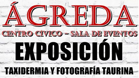 EXPOSICIÓN en ÁGREDA. TAXIDERMIA Y FOTOGRAFÍA TAURINA