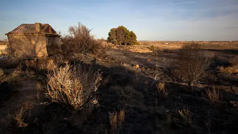 incendio balsa del pulguer cascante2
