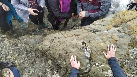 agreda restos jurasicos