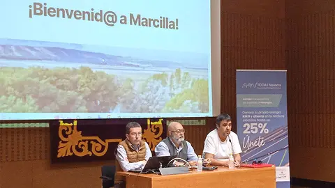 marcilla comunidad energetica