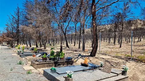 incendio valtierra un año despues
