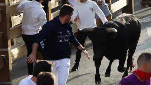 Encierro de Tudela con toros de la ganadería de Prieto de la Cal de San Juan del Puerto, Huelva